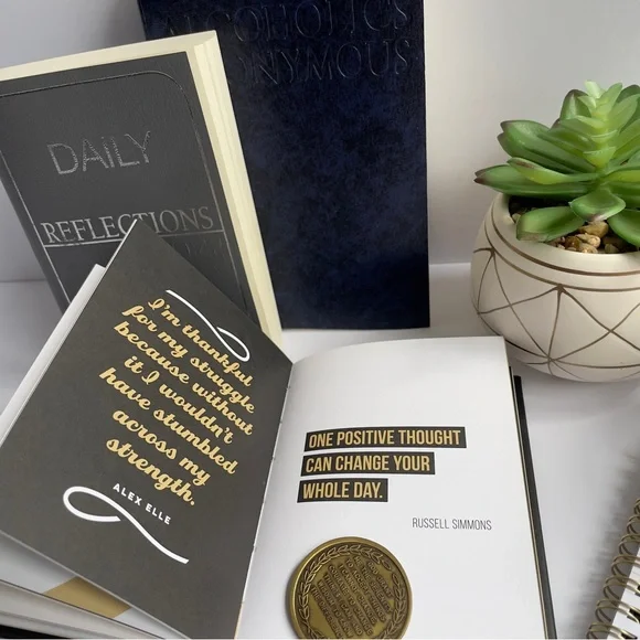 AA Gift Set ✦ Softcover Big Book + Daily Reflections + Shit Happens + REAL 12-Yr - Picture 6 of 8